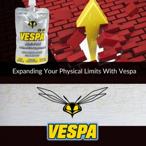 Vespa – in 1 Minute erklärt